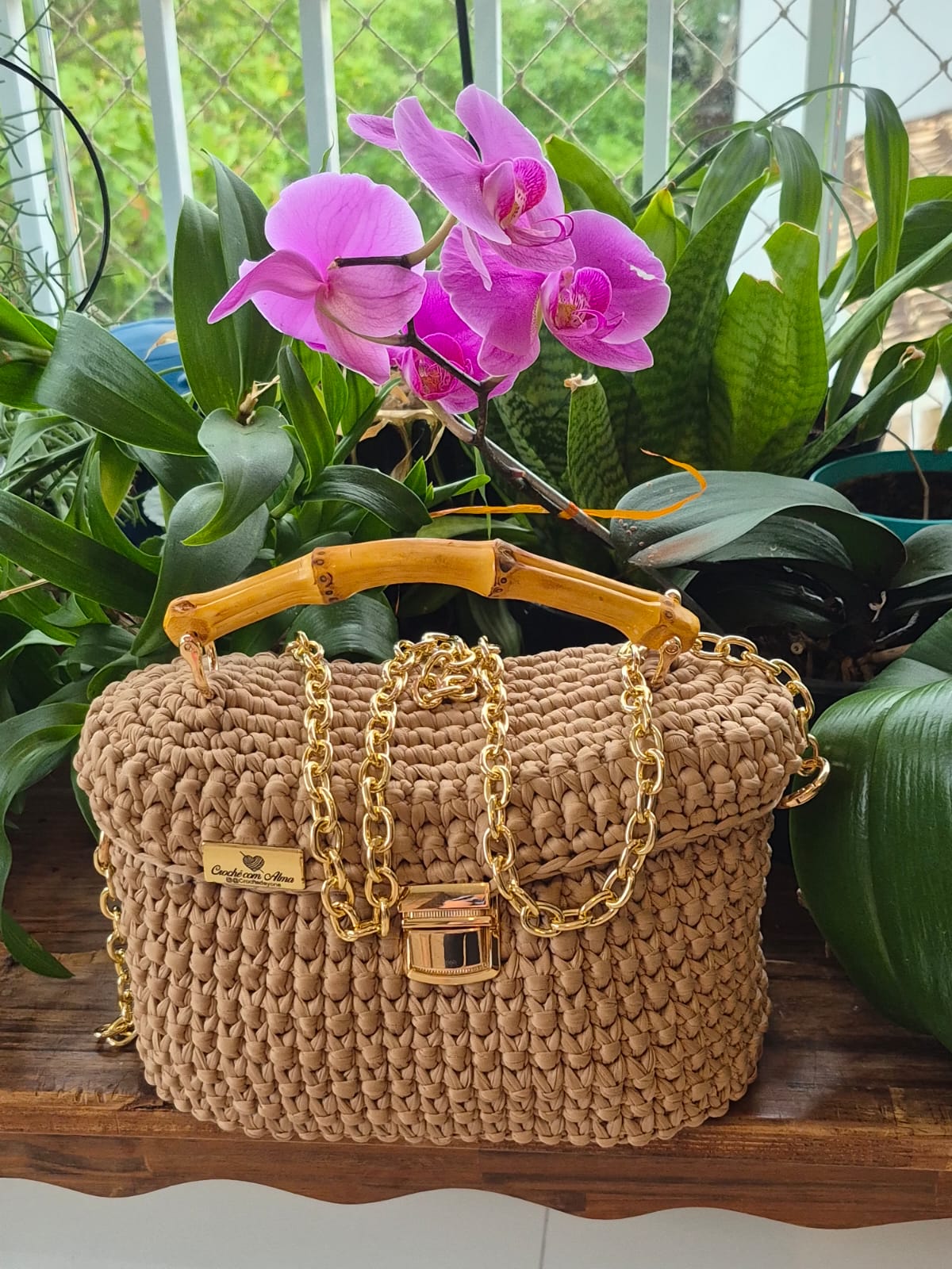 Bambu Doré